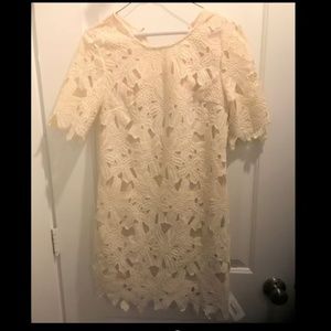 NYT Moon Collection White Lace Mini Dress